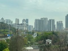 -月湖风景区