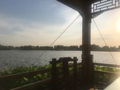 -白洋淀景区