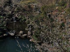 -灵隐飞来峰景区