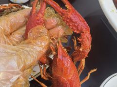 -老梅园大虾城(河西店)