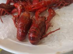 -红盔甲·小龙虾(天钥桥店)