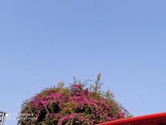 -观澜湖生态运动公社