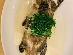 -海逸海鲜酒家(古北店)
