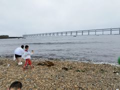-黑石礁公园