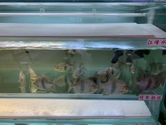 -华声天桥民俗文化园