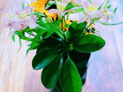 -悦哉·派对·草坪婚礼·围炉煮茶(三圣乡店)
