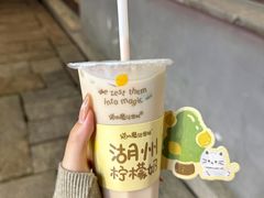 -猫的魔法密林(衣裳街店)