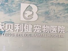 -宠颐生贝利健动物医院(谢家湾分院)