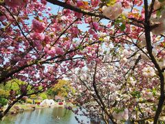 -白马涧龙池景区