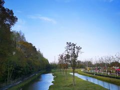 -上海长兴岛郊野公园