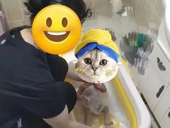 -阿姨之家 月嫂保姆