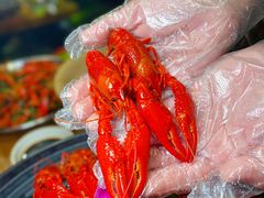 -湘里乡亲甲王二老店