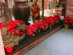 -美豪怡致酒店(上海长寿路店)