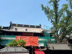 -灵谷景区