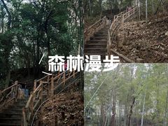 -仙岛湖旅游风景区