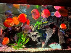 -上海海洋水族馆