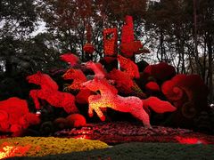 -共青国家森林公园-售票处