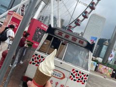 -富豪雪糕车流动点(尖沙咀店)