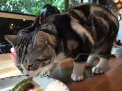 -咖法森林·咖啡  酒吧(天河店)