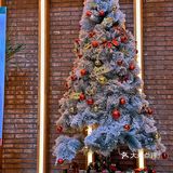 在北京他真的没有对手......