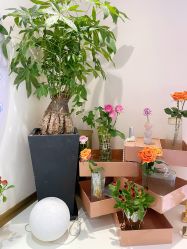 -名媛颜蕙·LPG官方旗舰店