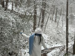 -庐山风景区花径公园