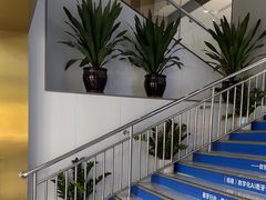 -美可普口腔医院(东街分店)
