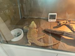 -喵园·猫主题咖啡厅·撸猫·猫咖(国贸店)