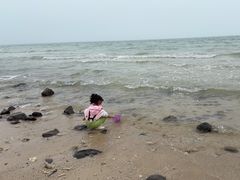 -贝壳沙滩