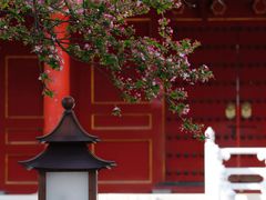 -故宫博物院(故宫)