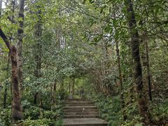 -杭州半山国家森林公园