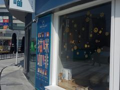 -飞行喵MR PILOT|猫舍·猫咖(静安大融城店)