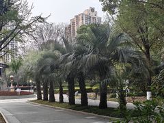 -苏州河梦清园环保主题公园