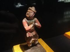 -温州博物馆
