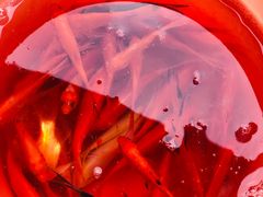 -白塘生态植物园