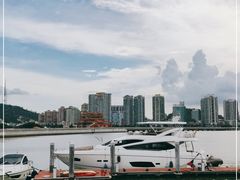 -野狸岛