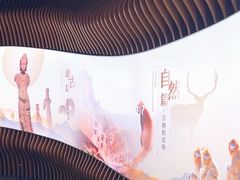 -四川大学博物馆