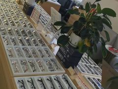 -康利眼镜·蔡司战略合作店(龙泉书房店)