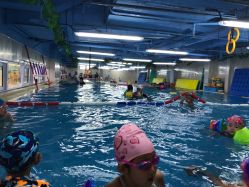 -子木乐园婴儿游泳馆(水晶港店)