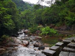 -广州白江湖森林公园