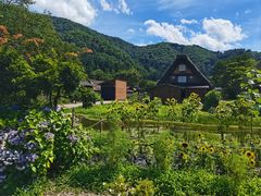 -白川乡与五箇山的合掌构造村落