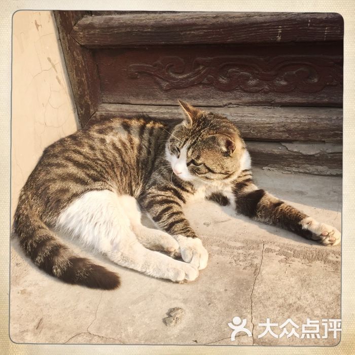 正阳书局(西四分号)图片 - 第614张