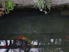 -无锡惠山寺