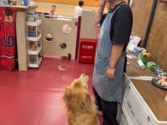 -和它·交个朋友·狗咖猫咖(爱琴海店)