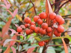 -罗创丹阳眼镜(童卫路店)