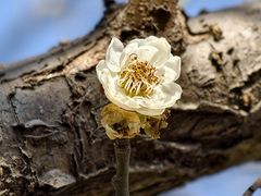 -vivo官方授权体验店(朝阳合生汇店)