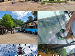 -梦幻奥陶纪景区