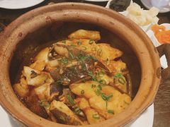 砂锅蝶鱼头-甄御•海鲜新青岛菜(麦岛店)