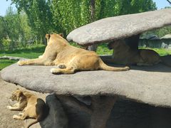 -北京野生动物园