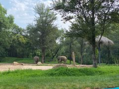 -北京野生动物园